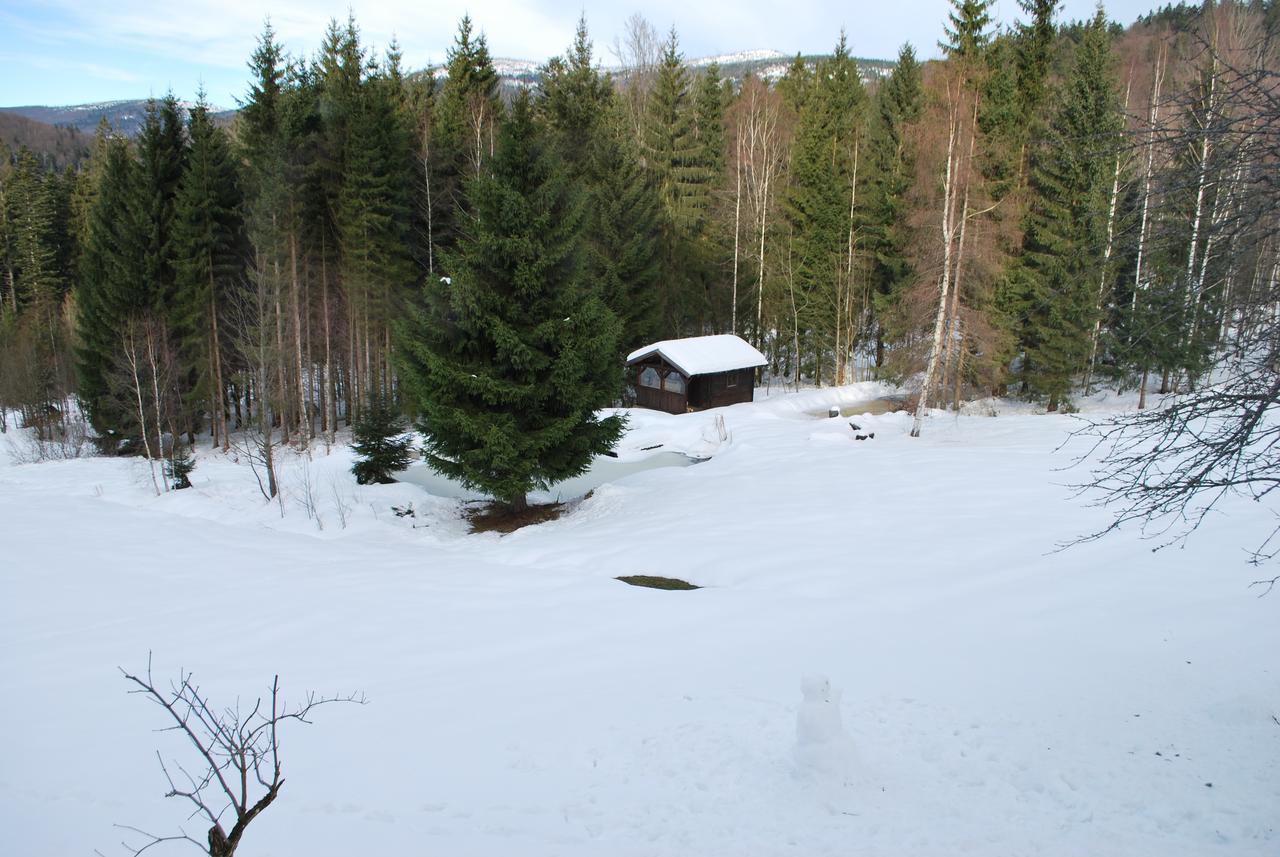 Ferienhaus "Lisa'S Haeusl" Neuschönau Zewnętrze zdjęcie