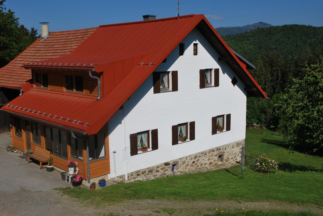 Ferienhaus "Lisa'S Haeusl" Neuschönau Zewnętrze zdjęcie